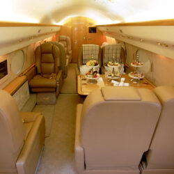 Getting the Royal Treatment